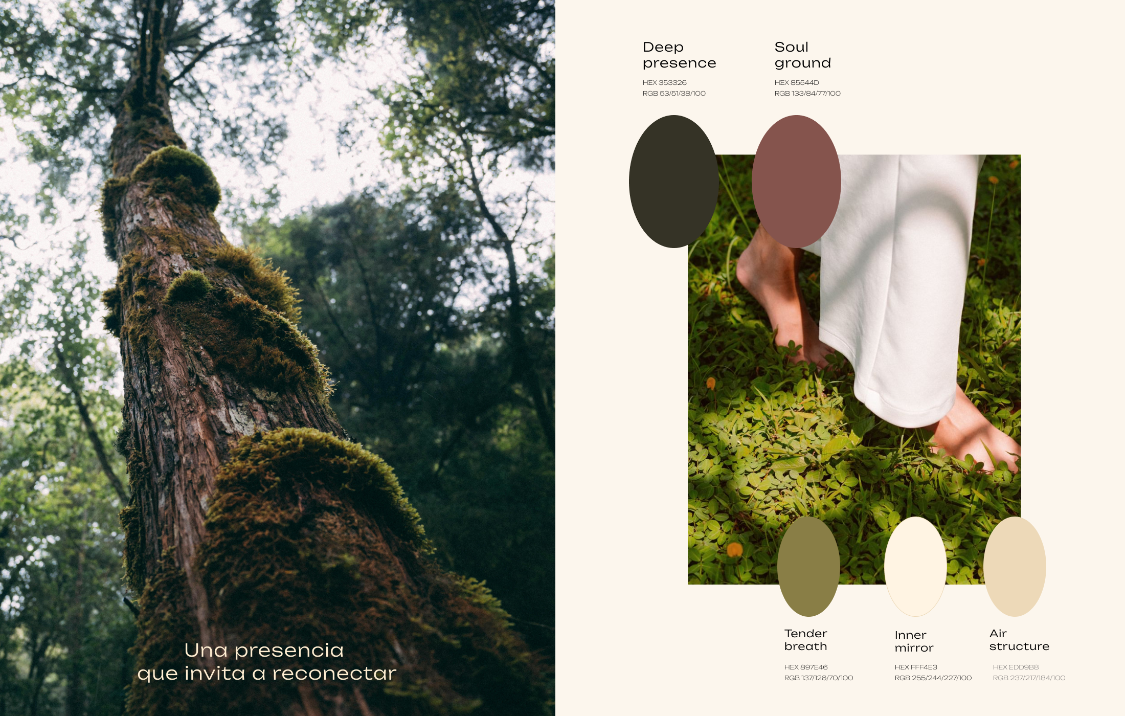 Manawa Tamu presence and colour system